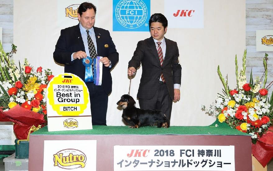 2018 FCI 神奈川インターナショナルドッグショー