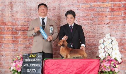 JKC.CH/J.CH ミカン